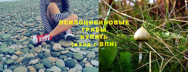 соль ск Алзамай