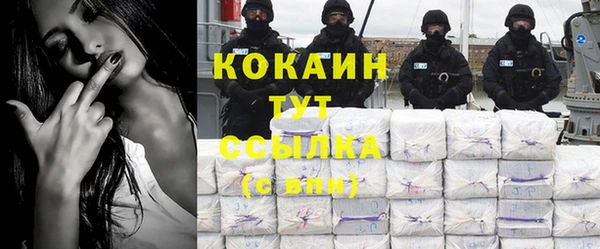 кокс Алексин